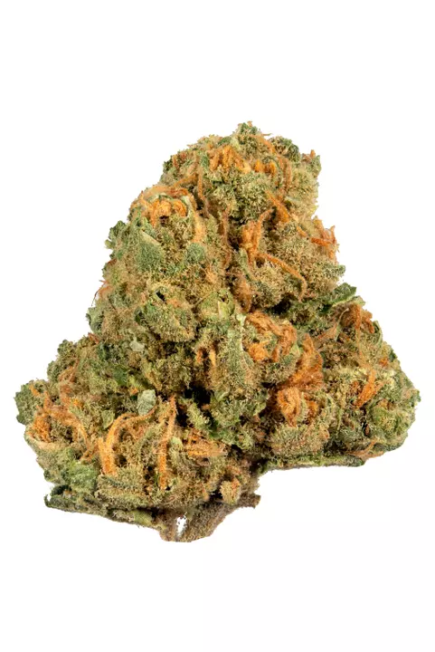 Where to Buy Weed Online Armidale Buy Cannabis Online In Au. Consumers typically describe this 55% sativa hybrid as blissful